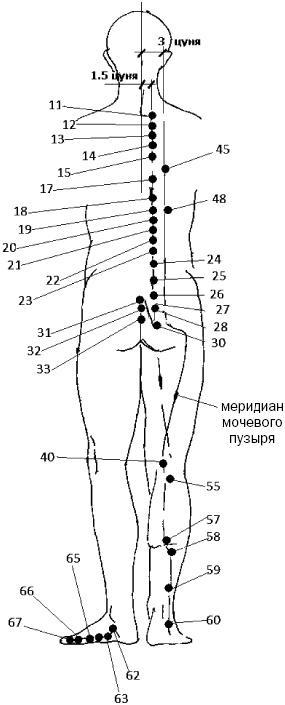 Простукивание активных точек - метод пробуждения целительной энергии. С подробным атласом