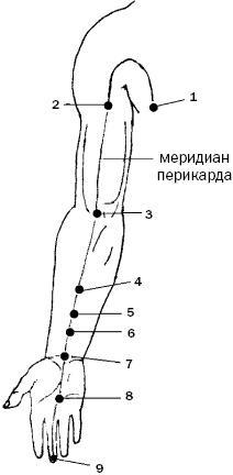 Простукивание активных точек - метод пробуждения целительной энергии. С подробным атласом