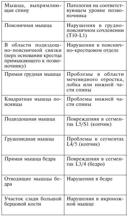 Ипликатор Кузнецова. Избавление от боли в спине и шее