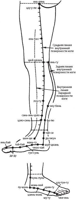 Большой справочник по массажу