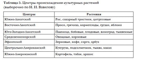 История мировых цивилизаций