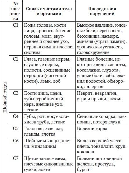 За рулем без боли в спине