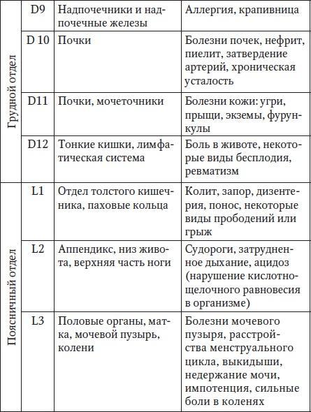 За рулем без боли в спине