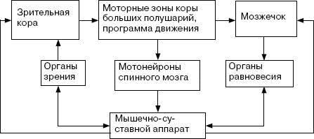 Человек в экстремальной ситуации