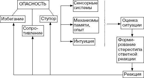 Человек в экстремальной ситуации