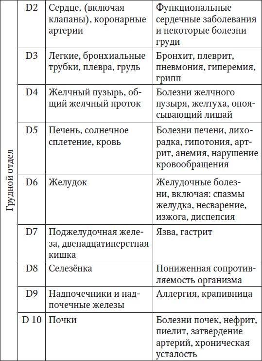 Ваш здоровый позвоночник