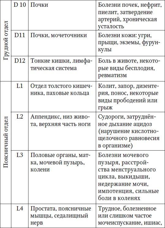 Ваш здоровый позвоночник