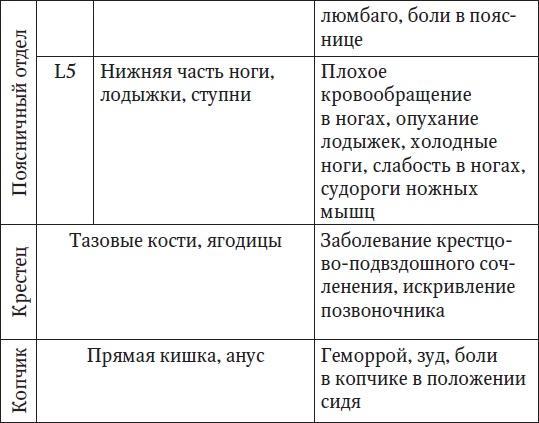 Ваш здоровый позвоночник