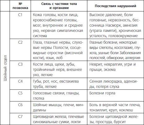 3 лучшие системы от боли в спине