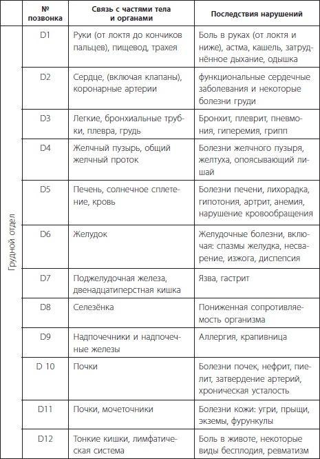 3 лучшие системы от боли в спине