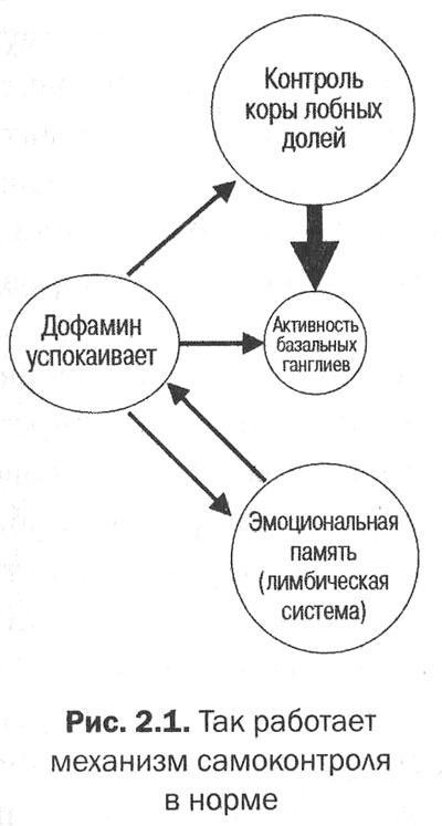 Измени свой мозг - изменится и тело!