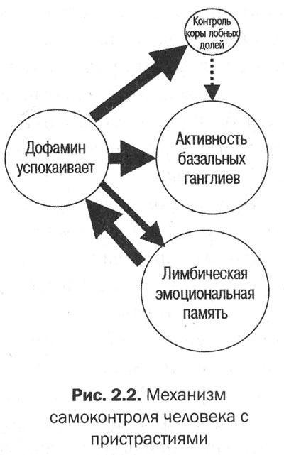 Измени свой мозг - изменится и тело!