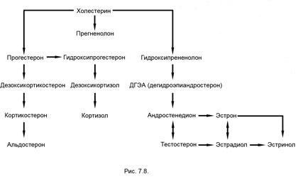 Измени свой мозг - изменится и тело!