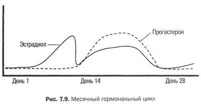 Измени свой мозг - изменится и тело!