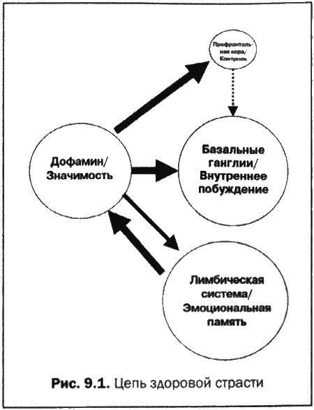 Великолепный мозг в любом возрасте