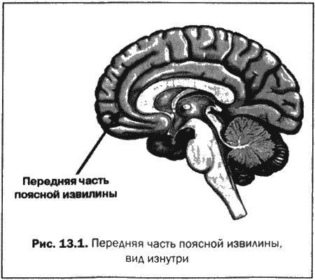 Великолепный мозг в любом возрасте