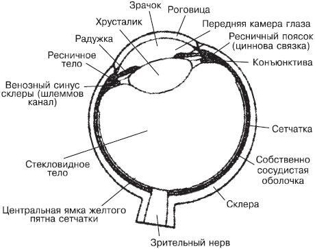 Сними очки за 10 занятий