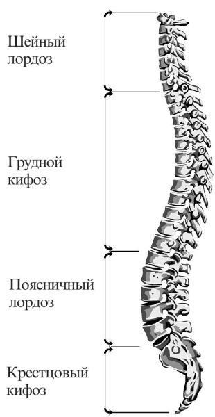 Остеохондроз