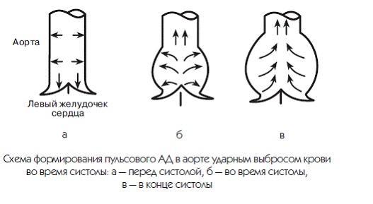 Новый взгляд на гипертонию. Причины и лечение