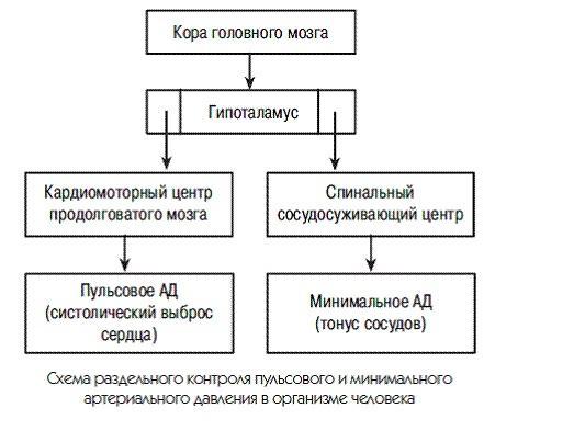 Новый взгляд на гипертонию. Причины и лечение