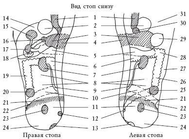 Здоровье ваших ног