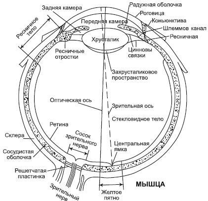 Лазерная коррекция зрения