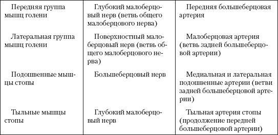 Атлас профессионального массажа