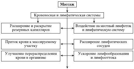 Атлас профессионального массажа