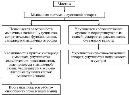 Атлас профессионального массажа