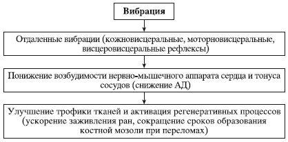 Атлас профессионального массажа