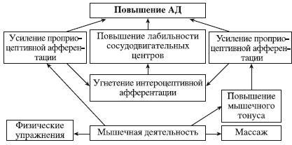 Атлас профессионального массажа