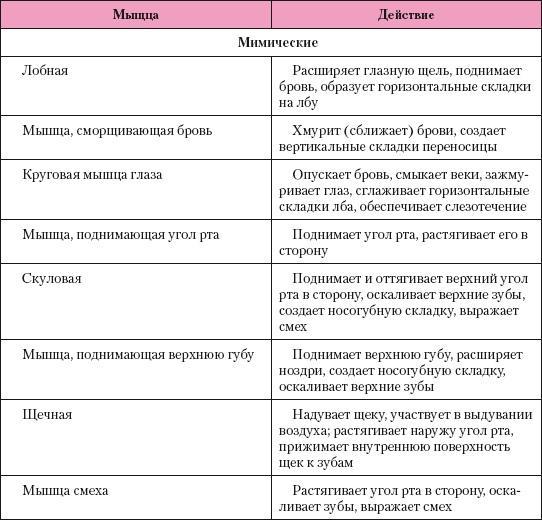 Атлас профессионального массажа