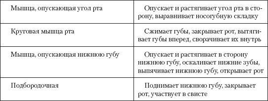 Атлас профессионального массажа