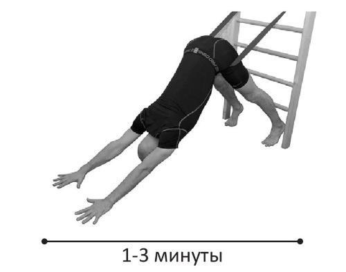 Йогатерапия. Практическое руководство