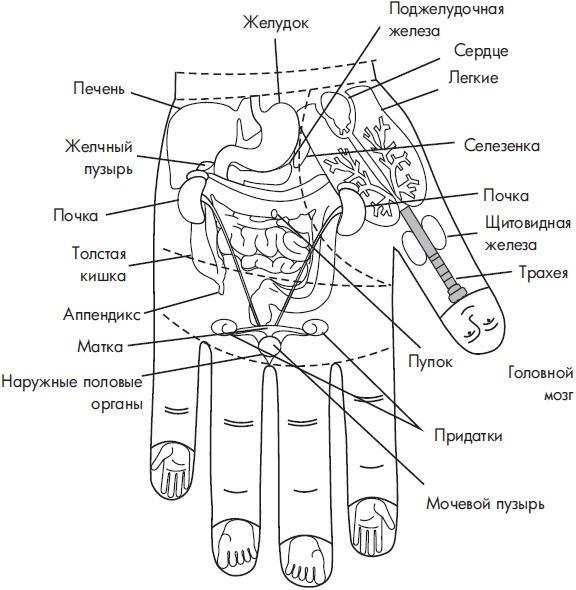 Су-Джок. Самодиагностика и лечение