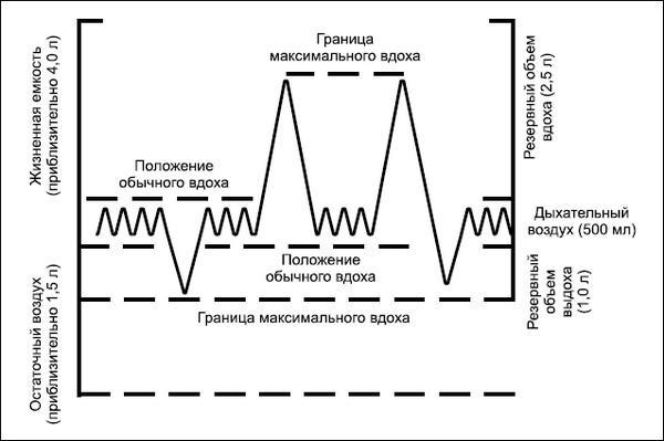 Все дыхательные гимнастики. Для здоровья тех, кому за...