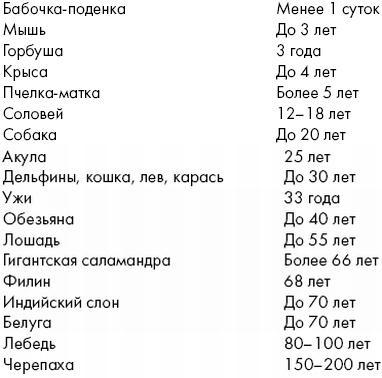 Биоритмы, или Как стать здоровым