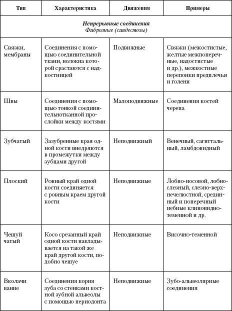 Атлас. Анатомия и физиология человека