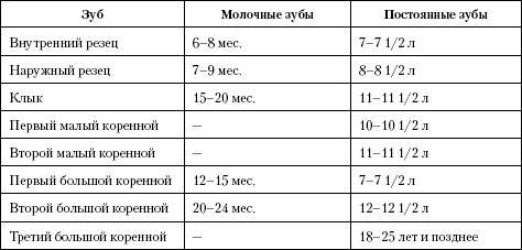 Атлас. Анатомия и физиология человека