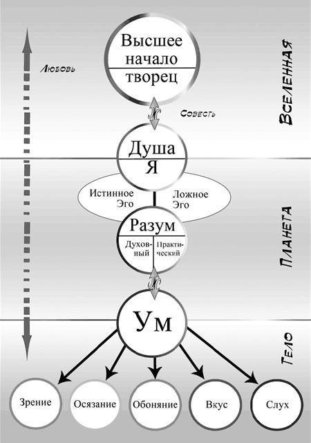 Аюрведа. Философия и травы