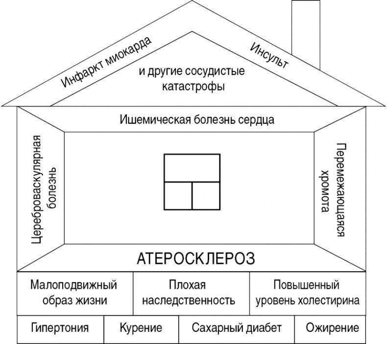 Как прожить без инфаркта и инсульта