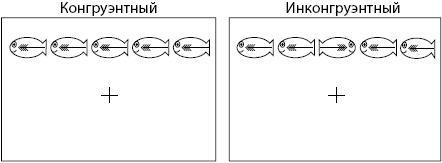 Тайны мозга вашего ребенка