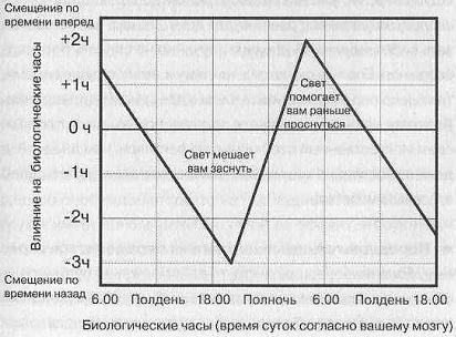 Тайны нашего мозга, или Почему умные люди делают глупости