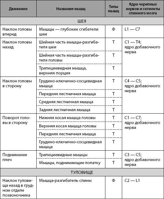 Скульптурная гимнастика для мышц, суставов и внутренних органов