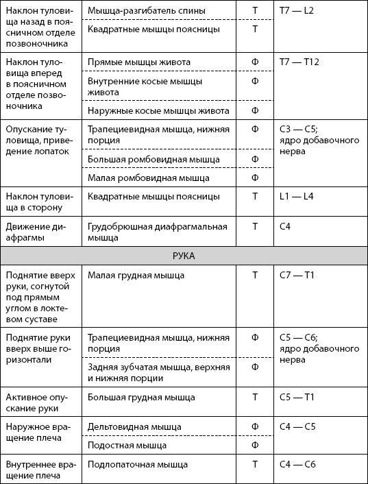 Скульптурная гимнастика для мышц, суставов и внутренних органов