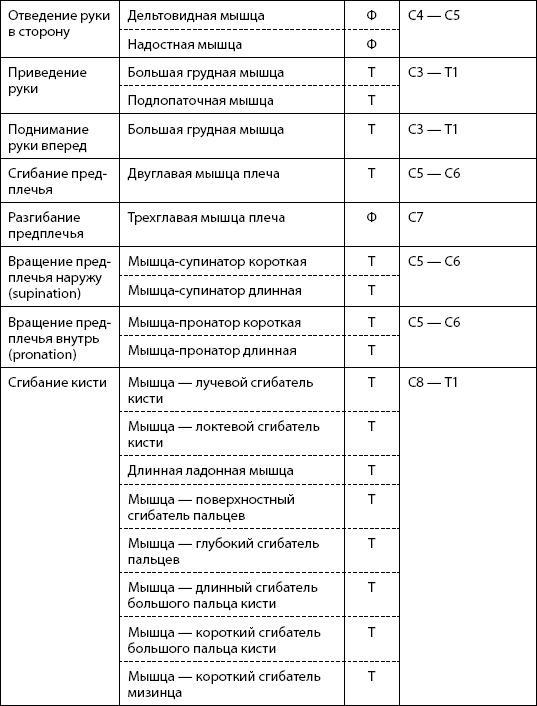 Скульптурная гимнастика для мышц, суставов и внутренних органов