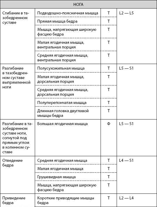 Скульптурная гимнастика для мышц, суставов и внутренних органов