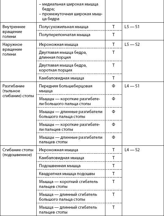 Скульптурная гимнастика для мышц, суставов и внутренних органов