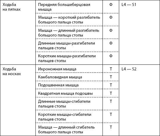 Скульптурная гимнастика для мышц, суставов и внутренних органов