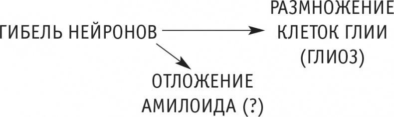 Многоликий вирус. Тайны скрытых инфекций